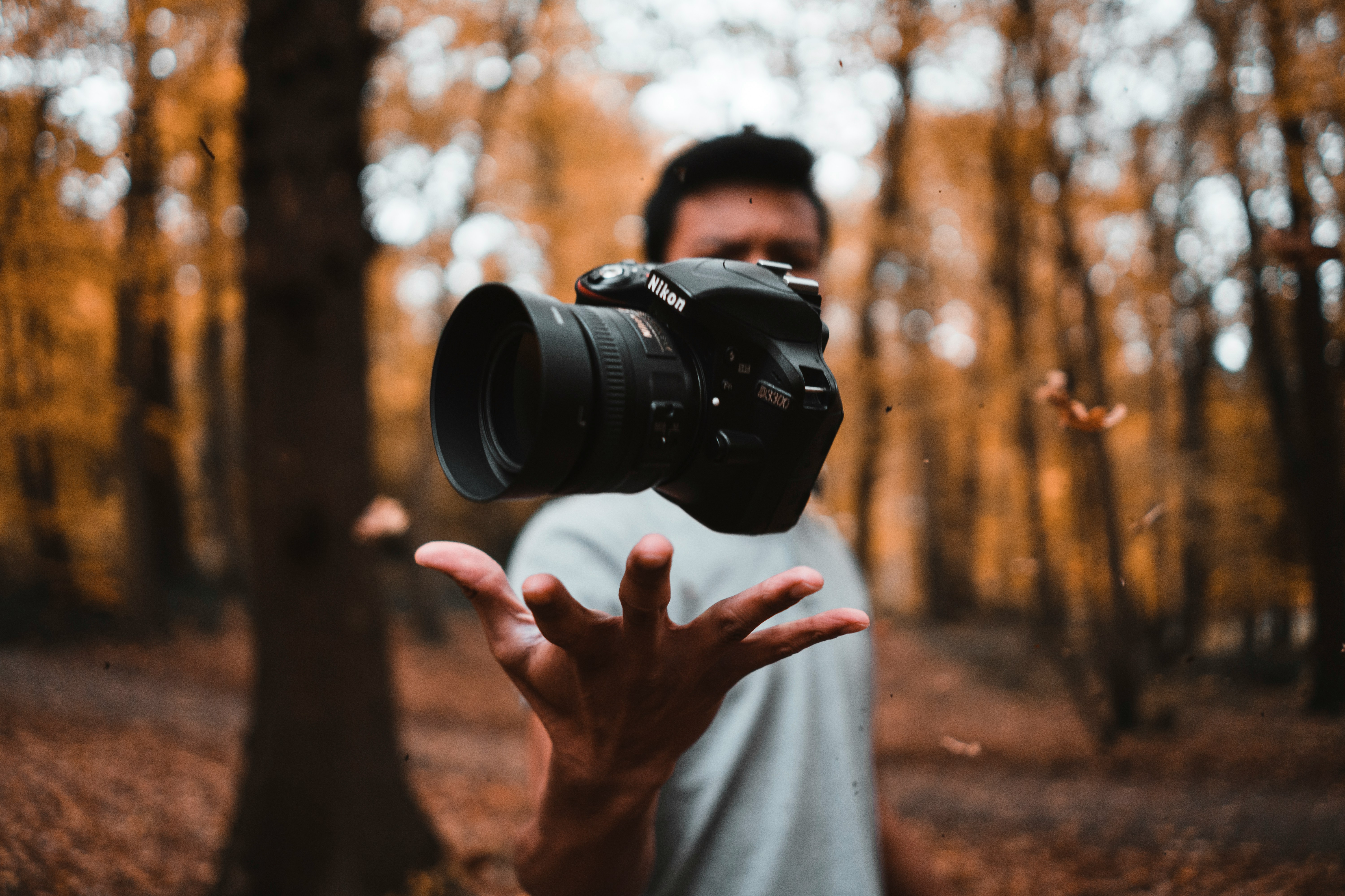 Martin’s Hobby – Photography Header Image