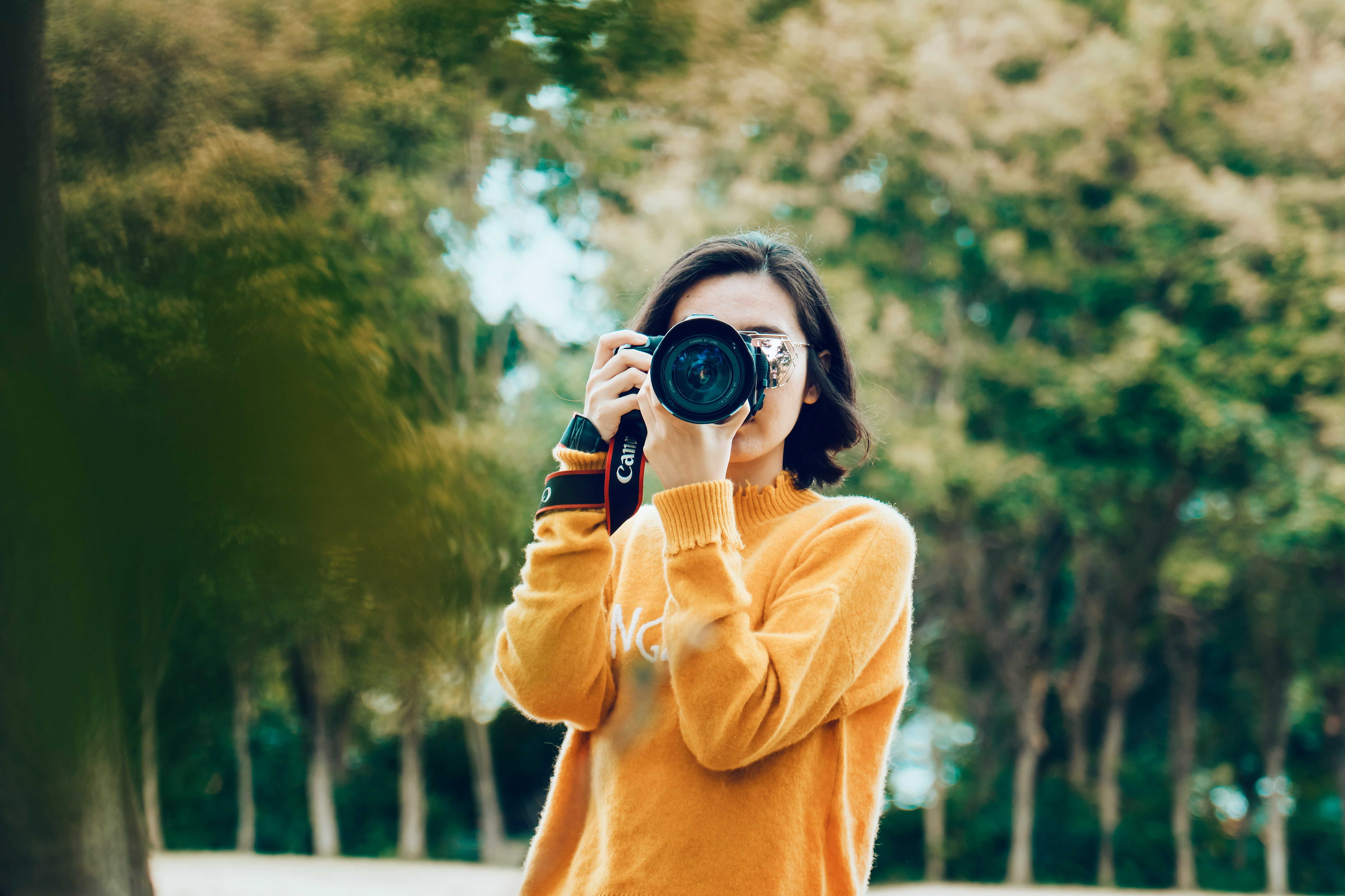 Martin’s Hobby – Photography Header Image