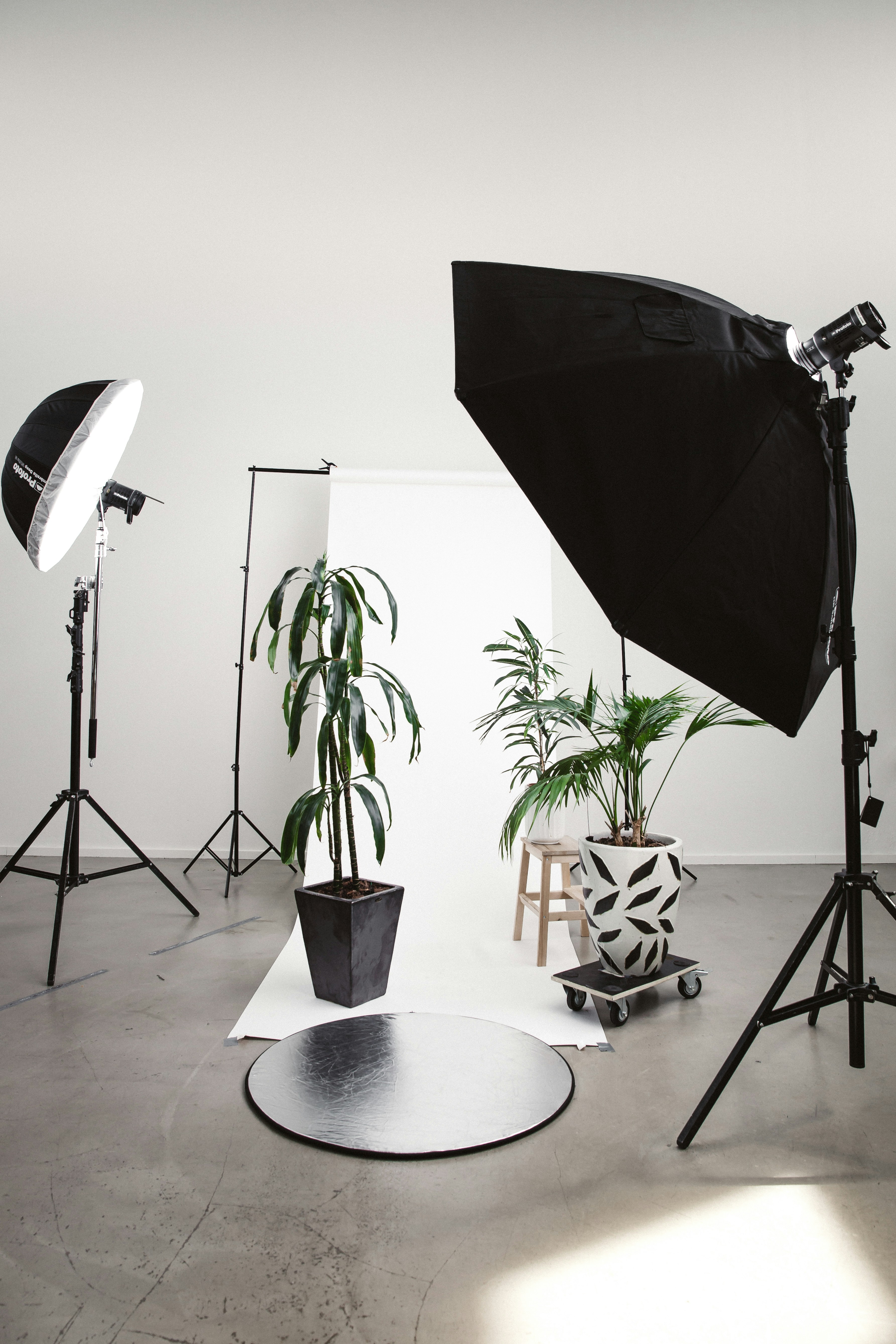 Martin’s Hobby – Photography Header Image